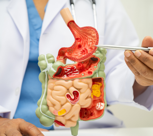 gastroenterologia